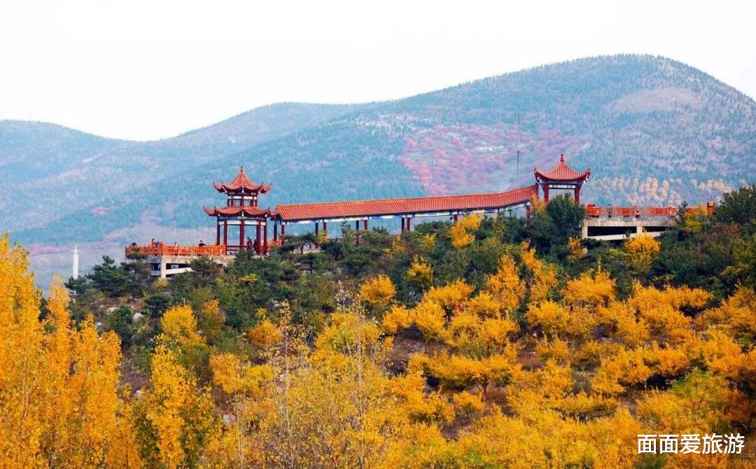 淮北|淮北一小众森林公园，依山傍水草木葱郁，内部景观众多游客却少