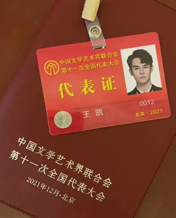 李靓蕾|王凯才是真正的“大佬”，代表证上面没有界别