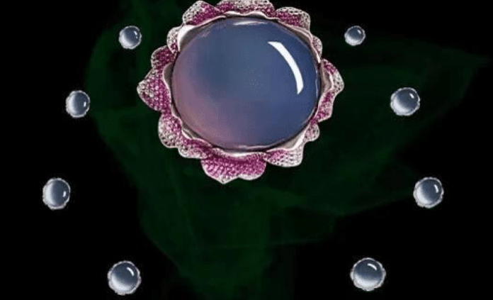 翡翠|连马云的翡翠都甘拜下风，价值6亿的昭仪之星，有何魅力？