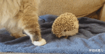 学姐说育儿|“女友在健身房工作，女教练订做的工作服，怪不得一节课800”，哈哈哈哈～