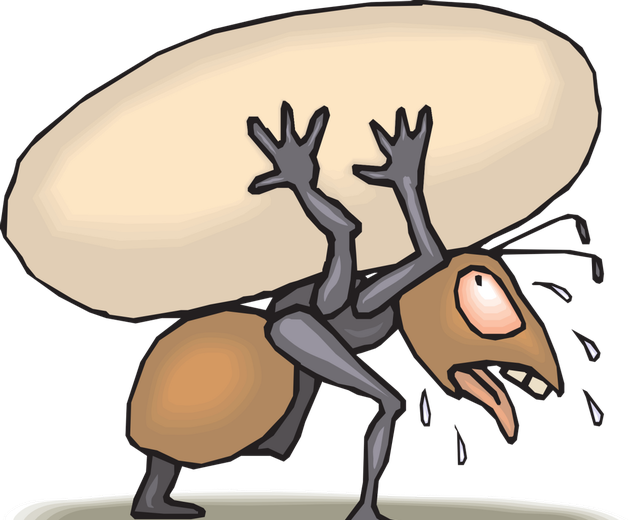 求职|“七零后中年人，找工作真难”：50岁，人生开启“失业元年”