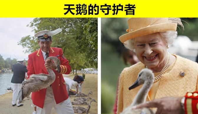 英国王室|只存在于英国王室的，8个鲜少有人知晓的奇怪工作