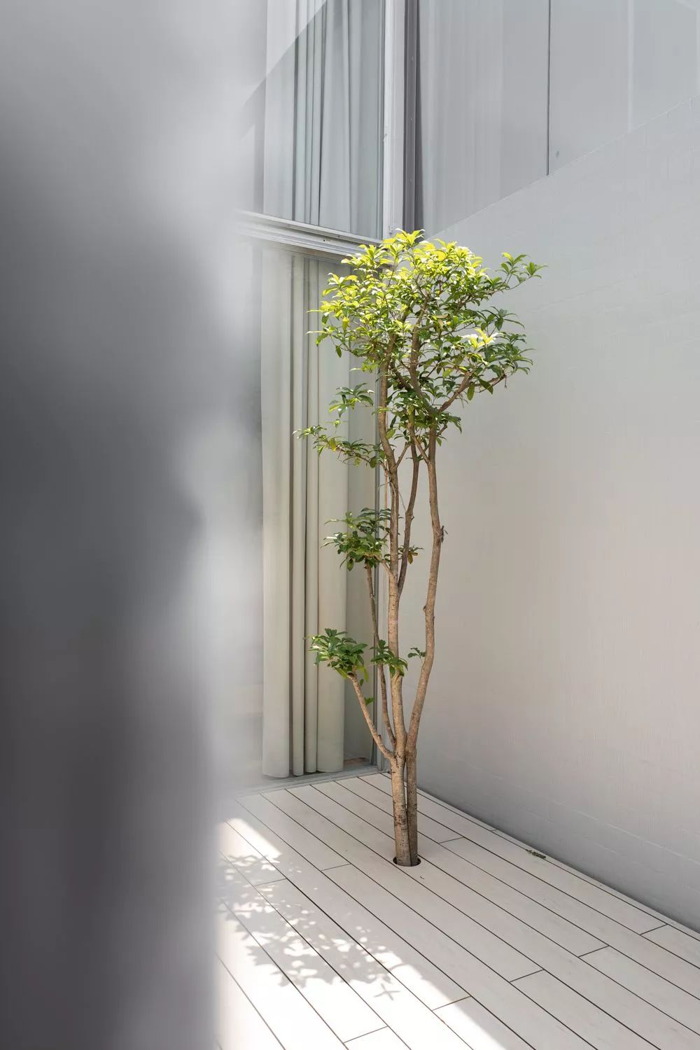 |日式简约风，静谧诗意