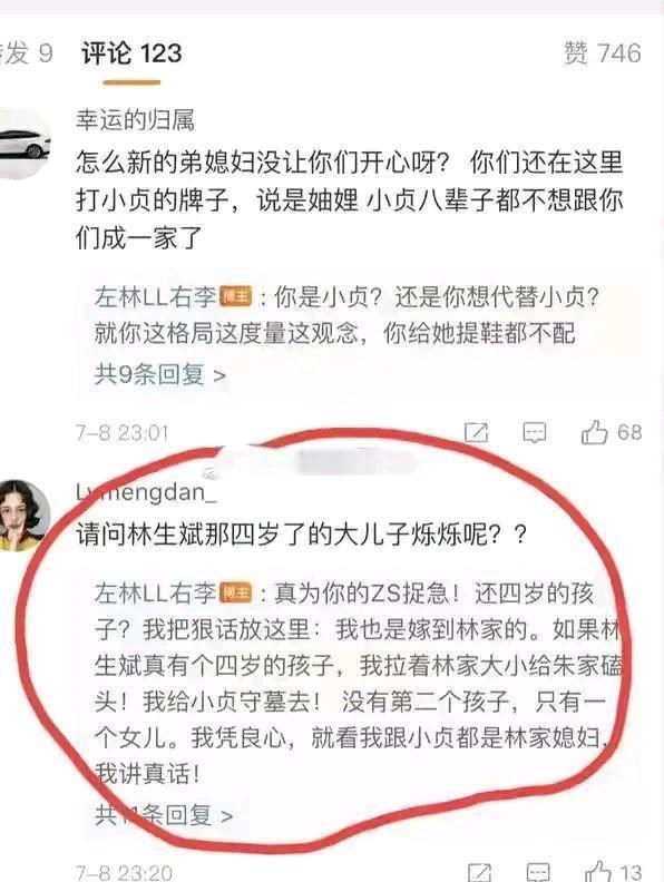 林生斌|林生斌嫂子回应四岁儿子的事情，如果有带着林家人给朱小贞守墓