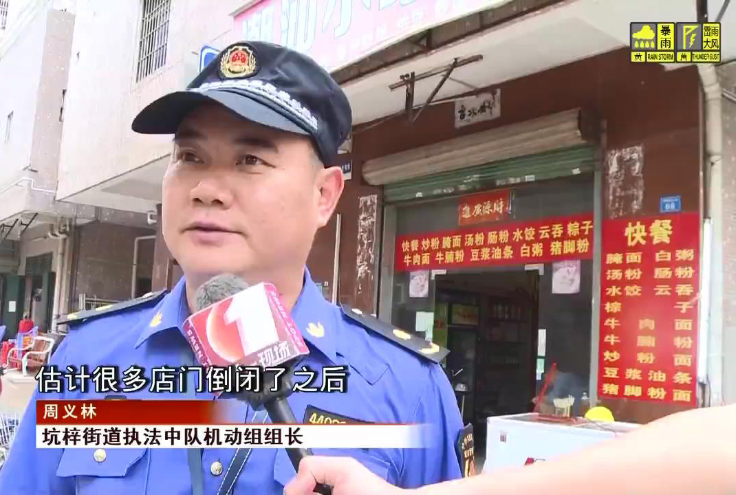 见闻深圳 深圳坑梓数十只流浪狗扎堆“逛街”，场面令人担忧，执法队回应来