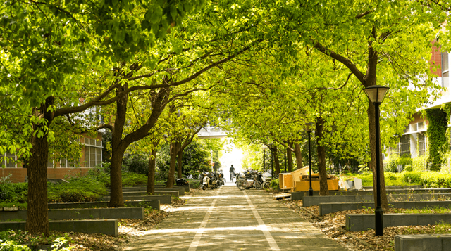 月月读唐诗|这五个很冷门的大学专业,就业率很高,但很少有人报考