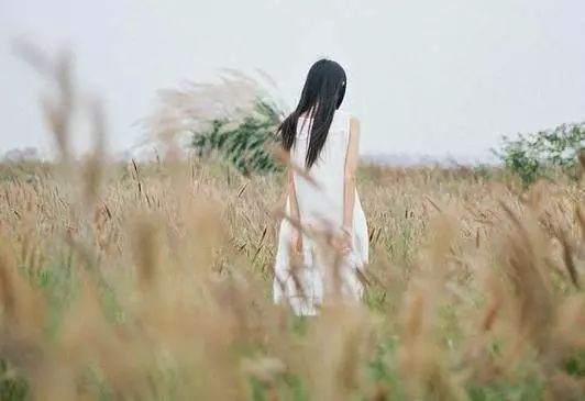 喵喵的小屋巴士 让人瞬间长大的句子，经典窝心，发朋友圈引人深思