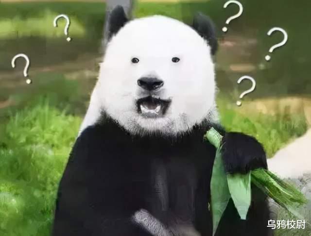 美国|黑命贵？共和党老白皮告诉你到底谁的命贵！