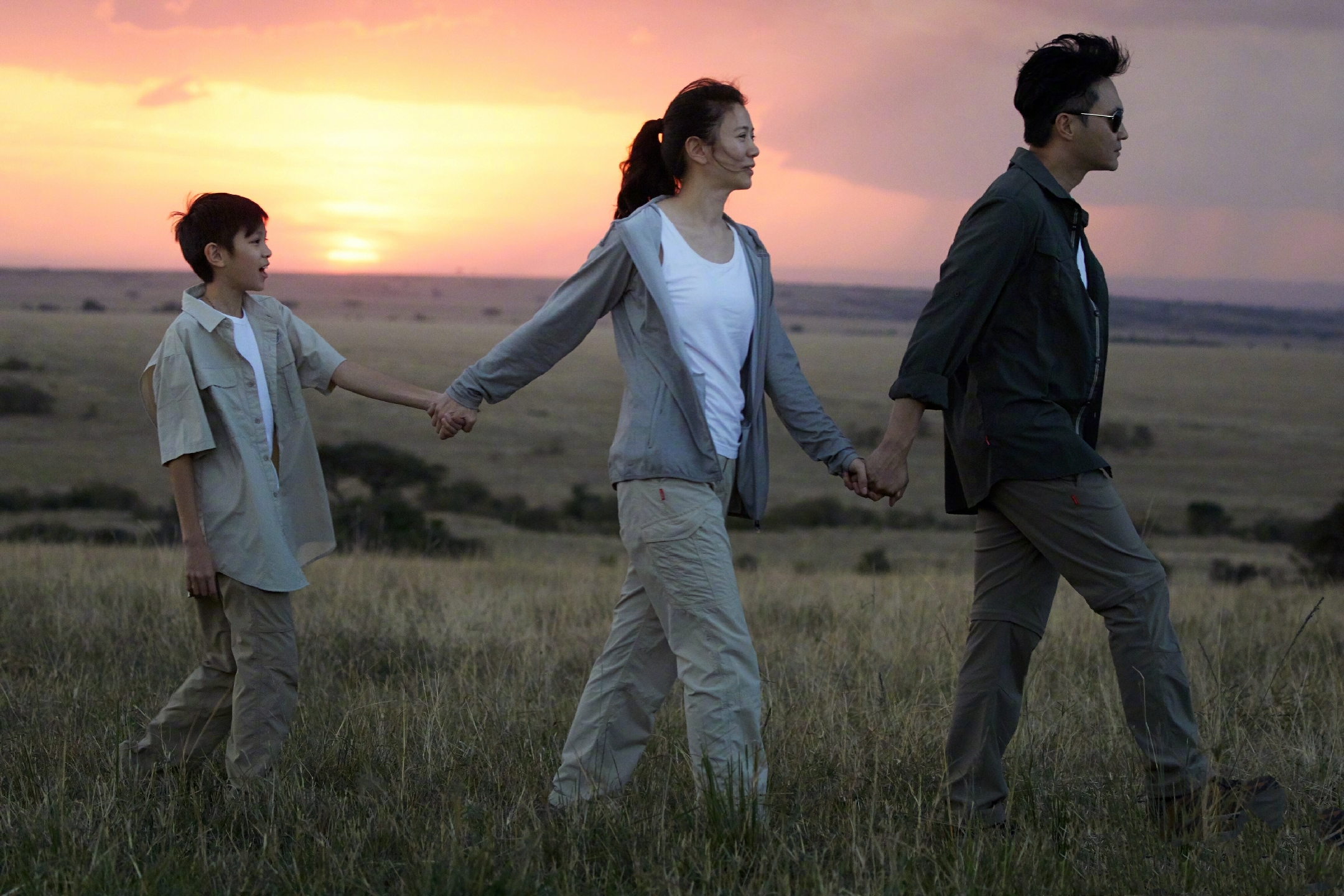 费曼|张智霖儿子晒撸猫日常，魔童眼神温柔颜值高，费曼留言梦幻联动