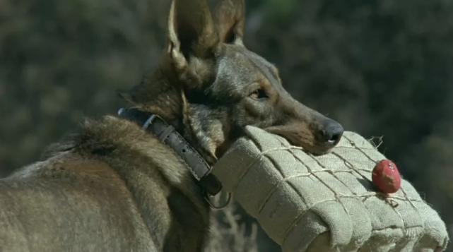 电影|这桩娱乐圈的集体谋杀案,上不了热搜