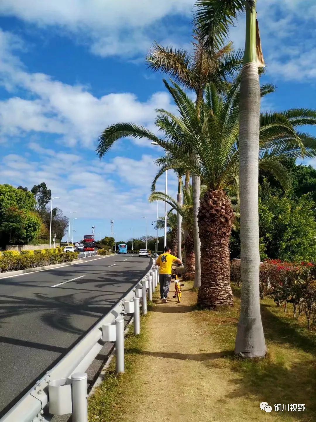 铜川周春辉 用手机也能拍出大片的效果，暮春到初夏的景色，我也试着拍一下