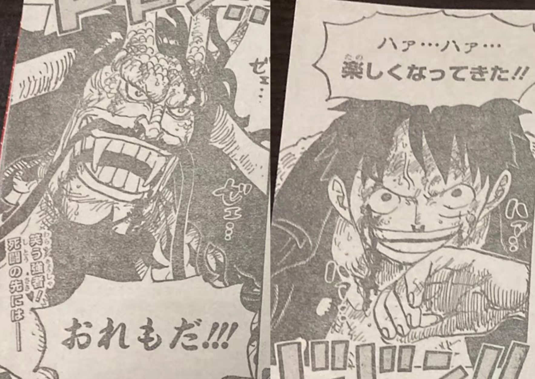 火影忍者|海賊1036：新世代與四皇！凱多與路飛的最后決戰??！