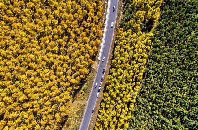 科学家 美科学家发现地球正“变绿”，原因就在中印，但专家对印度很担忧