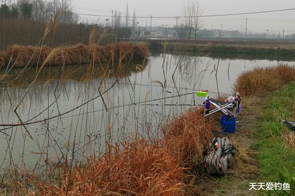 |早春钓鱼，钓鱼老手分享“五字秘诀”，做对了连竿上鱼，提升效率
