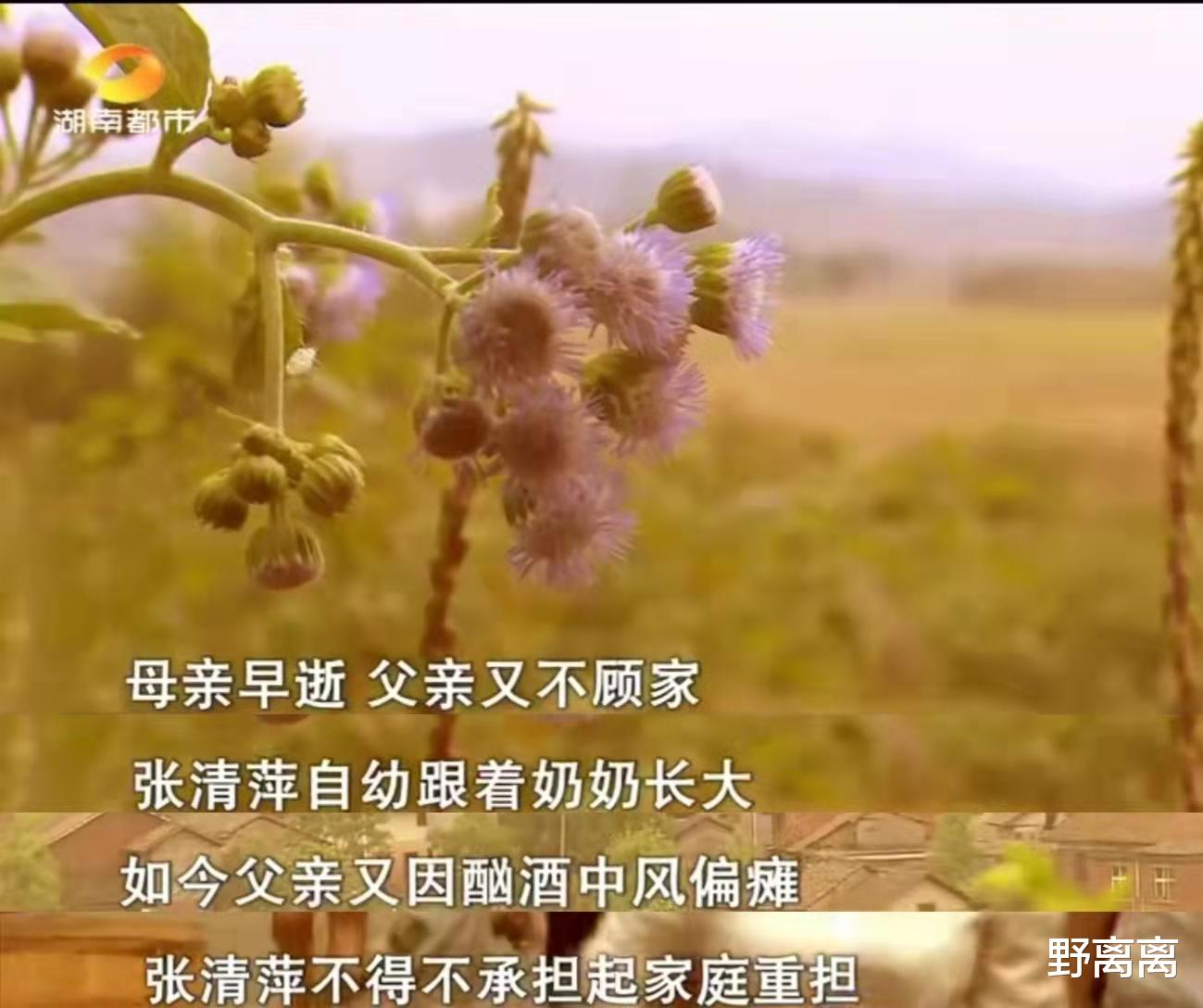 |妻子做主播跟网友私奔，让大12岁的丈夫慌了神，原因曝光他被打脸