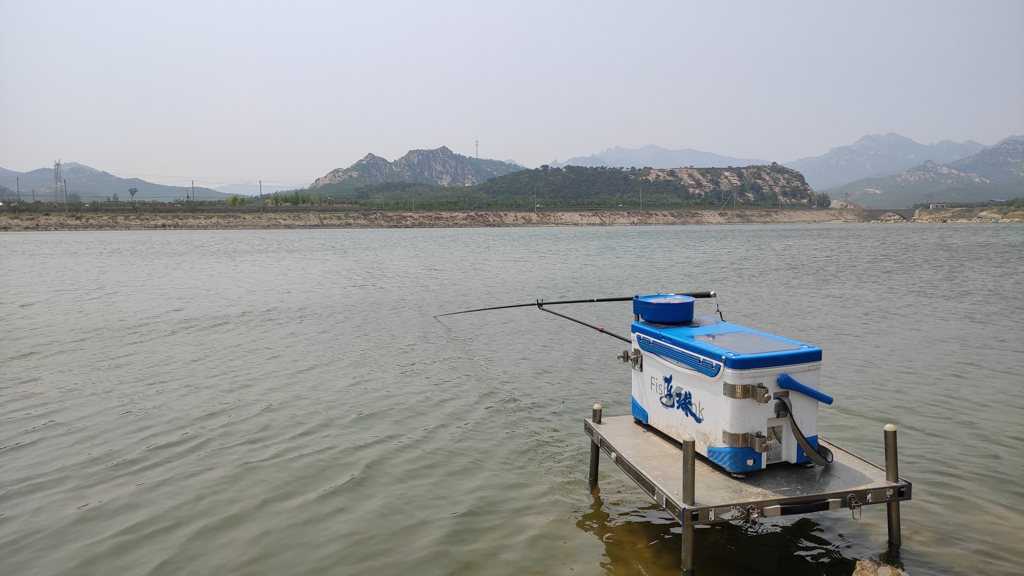 |春季野钓大鲫鱼攻略大全,咬钩的都是大板鲫,非常过瘾