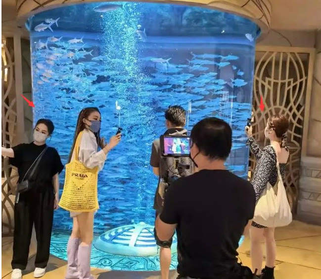 阿娇|Twins现身上海聚餐？阿娇瘦了一大圈，阿Sa当众剔牙不顾形象