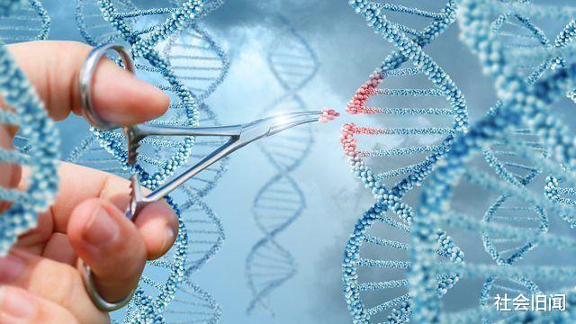 行星 宇宙文明拥有7级塔，达到6级就可以比肩神明，人类却至今未达到1级