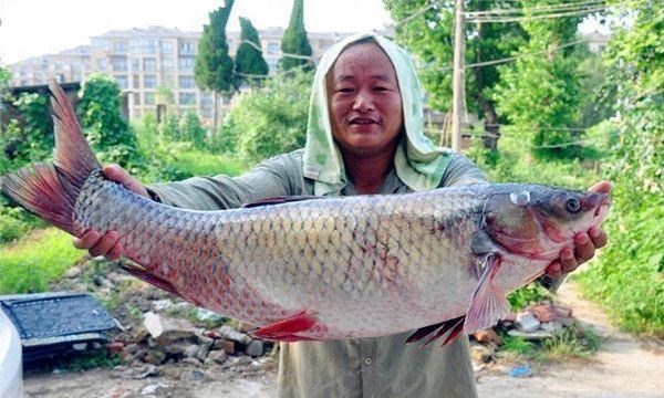 |夏季钓鱼，5种晴天3种不宜钓鱼，这2种天气不去钓鱼是浪费！