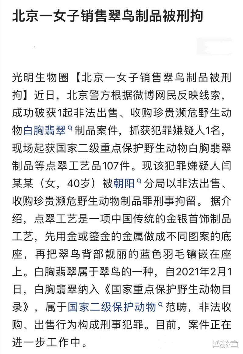 文玩|文玩点翠“美并不能够成为屠害生灵的理由”