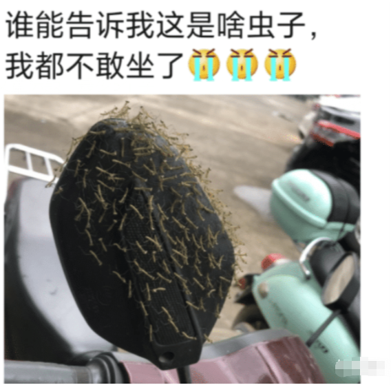 咸蛋的小姐 “因为输入法都没脸见老师了,”哈哈哈哈,杨老师的课你还想及格吗?