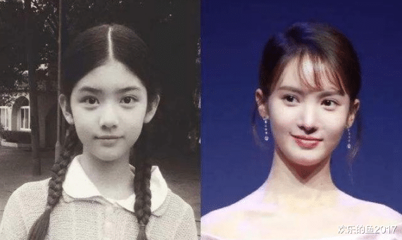 金晨|有实力有情商的金晨，曾被传当外围女1次10w，真是侮辱大众智商