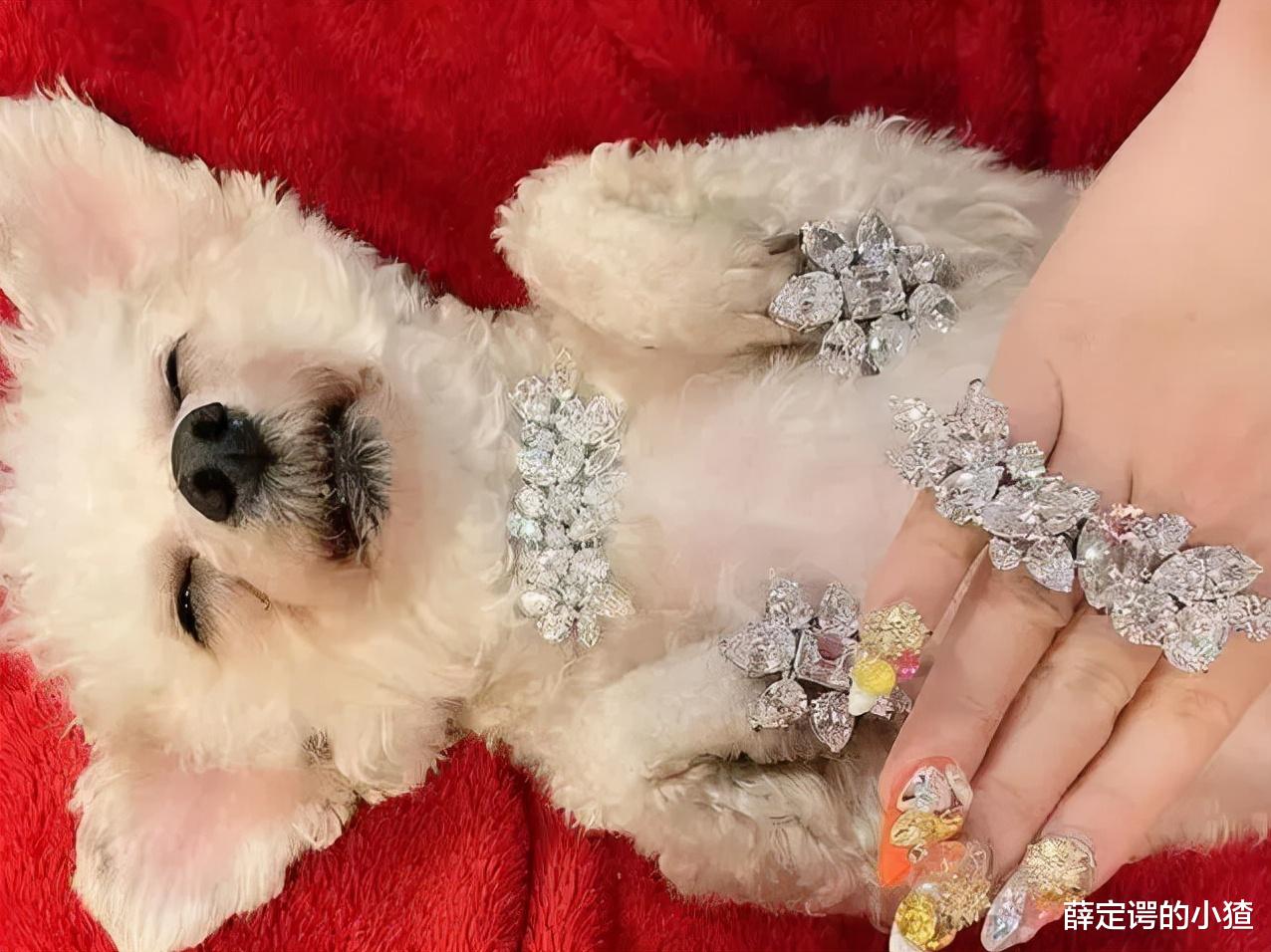 志村健|日本妈妈桑：因太胖遭未婚夫出轨，靠陪酒年入40亿，今34岁仍单身