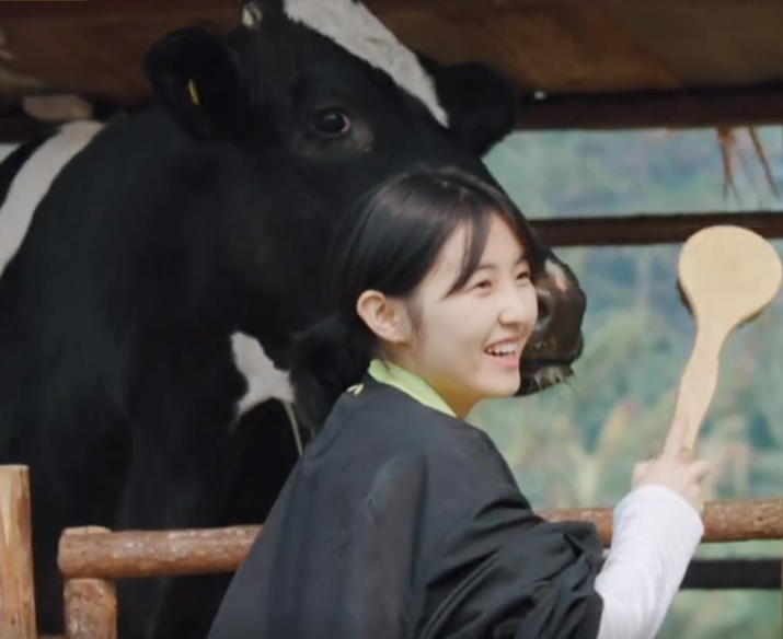 张艺兴|向往5：雪花牛肉一片五百元，为啥张艺兴给黄磊5斤？原因大开眼界