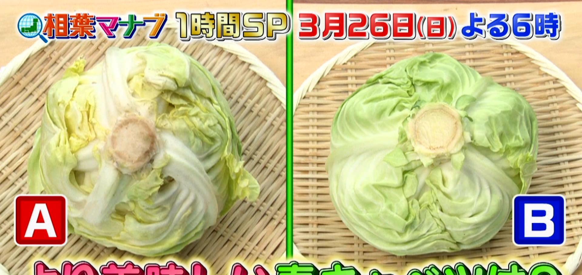 樱井翔|「岚」依然活跃！「岚」成员综艺节目盘点