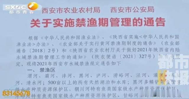 西安|西安进入这个时期！这事被禁止了，周知