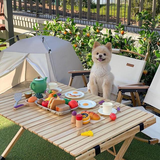 家居师太Monica|90后韩国女主，生活自律，98㎡的家被她布置的温暖治愈，佩服！