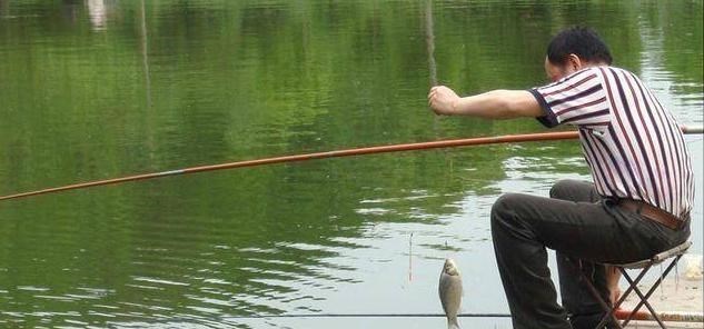 罗非鱼|广东一男子野钓遇稀罕事，钓不到鱼江面上却成群，网友：放生的