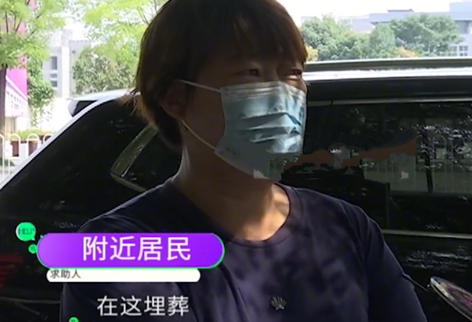 河南 这是什么操作？河南一小区门口绿化带埋20多个骨灰盒，高调办葬礼