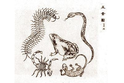 水母 “海洋毒王”祸害人类，成为世界科研难题，中国科学家却传出喜讯