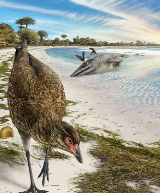 泰坦蟒 5500万年前,地球发了一次“高烧”,孕育了一种大蛇