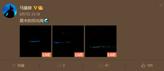 余生请多指教|《余生请多指教》定档后首次官宣，杨紫肖战深情回眸：眼里尽是你