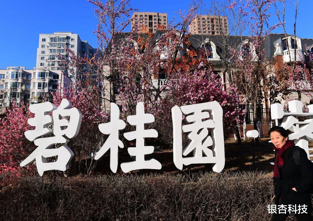 地产业|富力物业卖身，碧桂园在刀尖上起舞