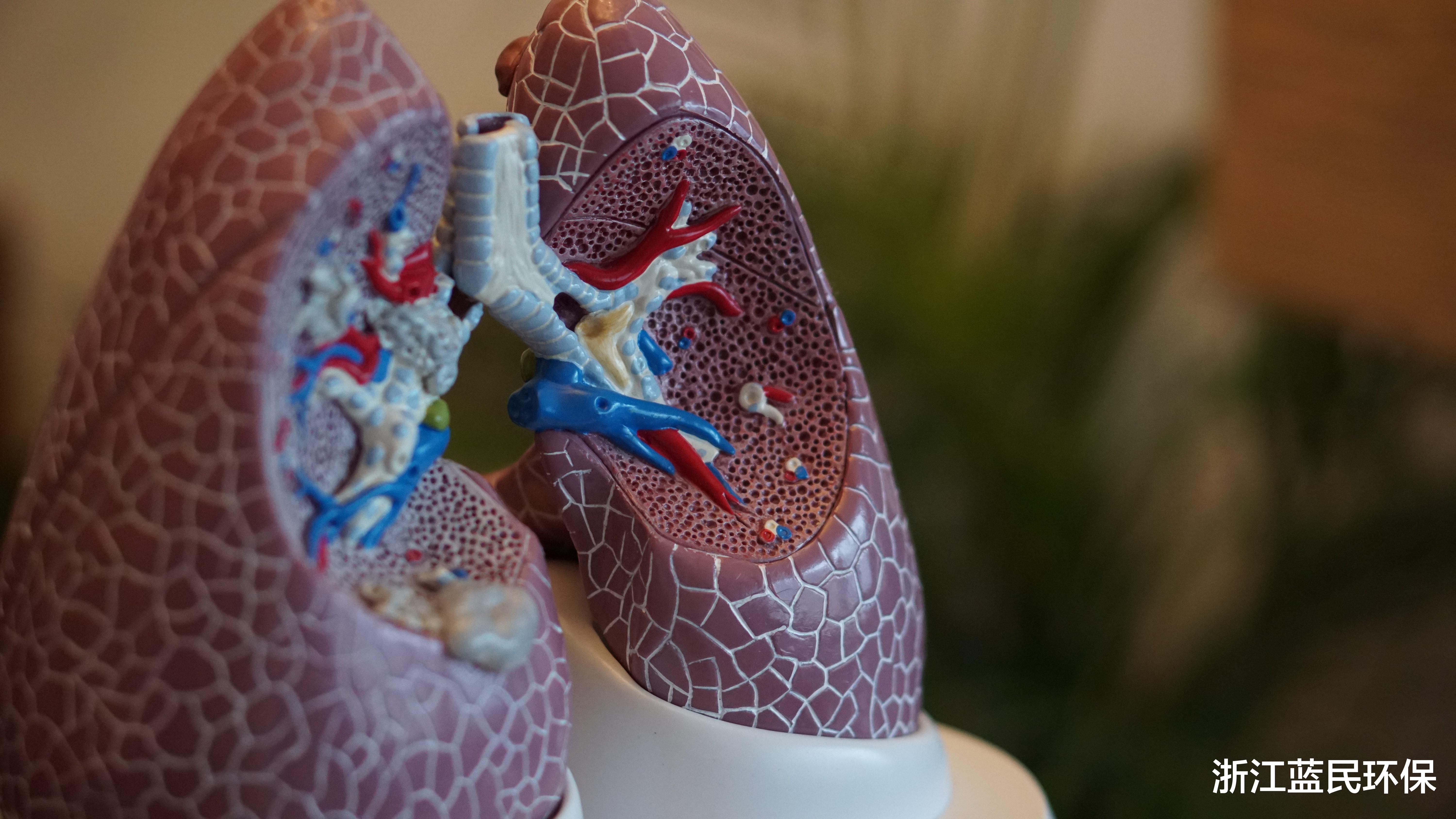 不能忽视除甲醛和呼吸健康