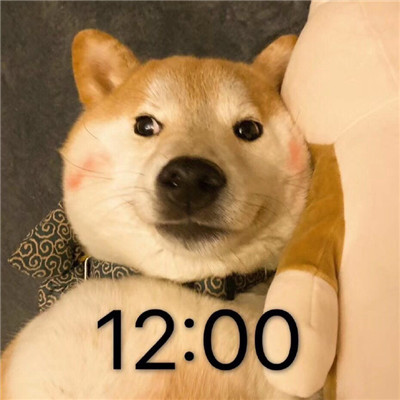 桉月|狗狗头像的熬夜冠军表情