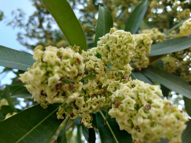 索尼Xperia|索尼 Xperia PRO-I全面评测：Xperia迄今为止最硬核的影像旗舰