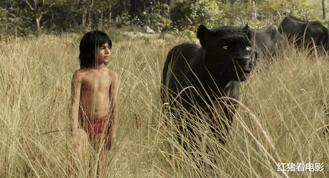 高圆圆|世界影史\超逼真\的4次表演，个个神还原，中国排名第一堪称神迹