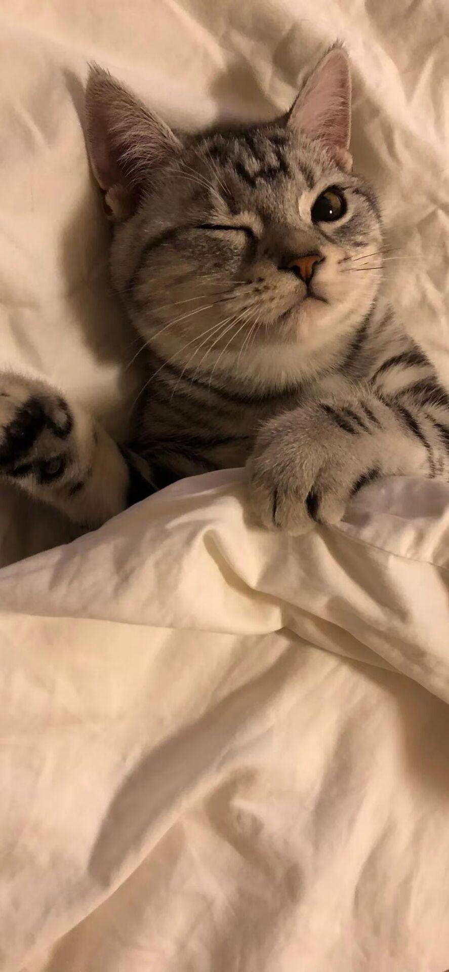 acgn漫评|热血传奇，那些年我们打过的boss