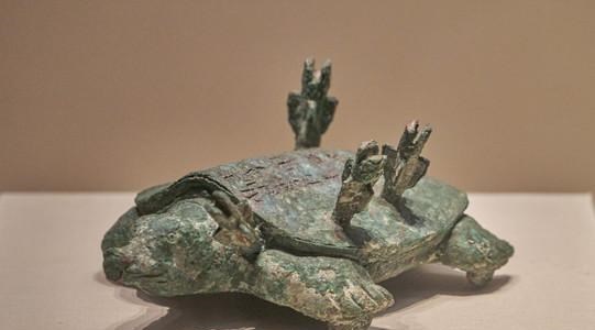 小小星座解说屋|老人钓到一只“乌龟”，背后插着4支箭，经鉴定：这一杆价值18亿