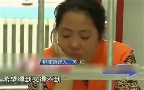 黑龙江俩农民多次侵犯村姑,不料她竟是连环杀手,地窖里全是尸骨