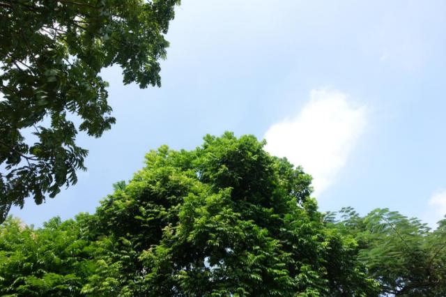 索尼Xperia|索尼 Xperia PRO-I全面评测：Xperia迄今为止最硬核的影像旗舰