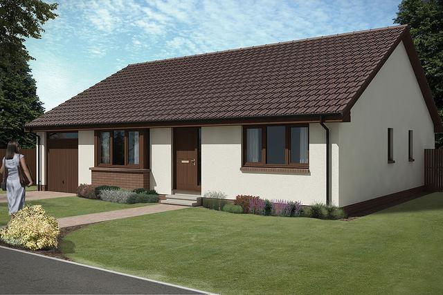 农村没人要的平房，6万块钱买下来，花2万装修，养花正好