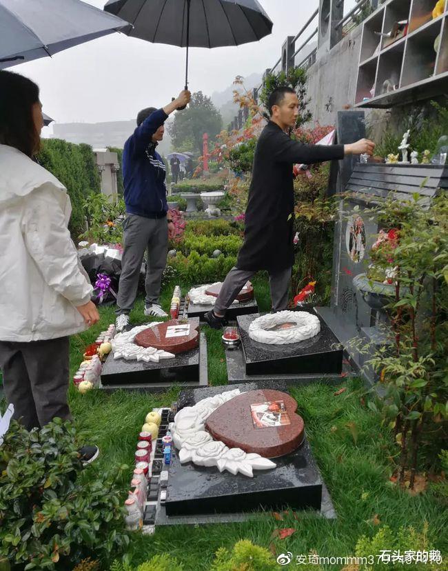 林生斌|林生斌的专业写手青菀被扒,被吓得宣布退网,并且在北京买了房子