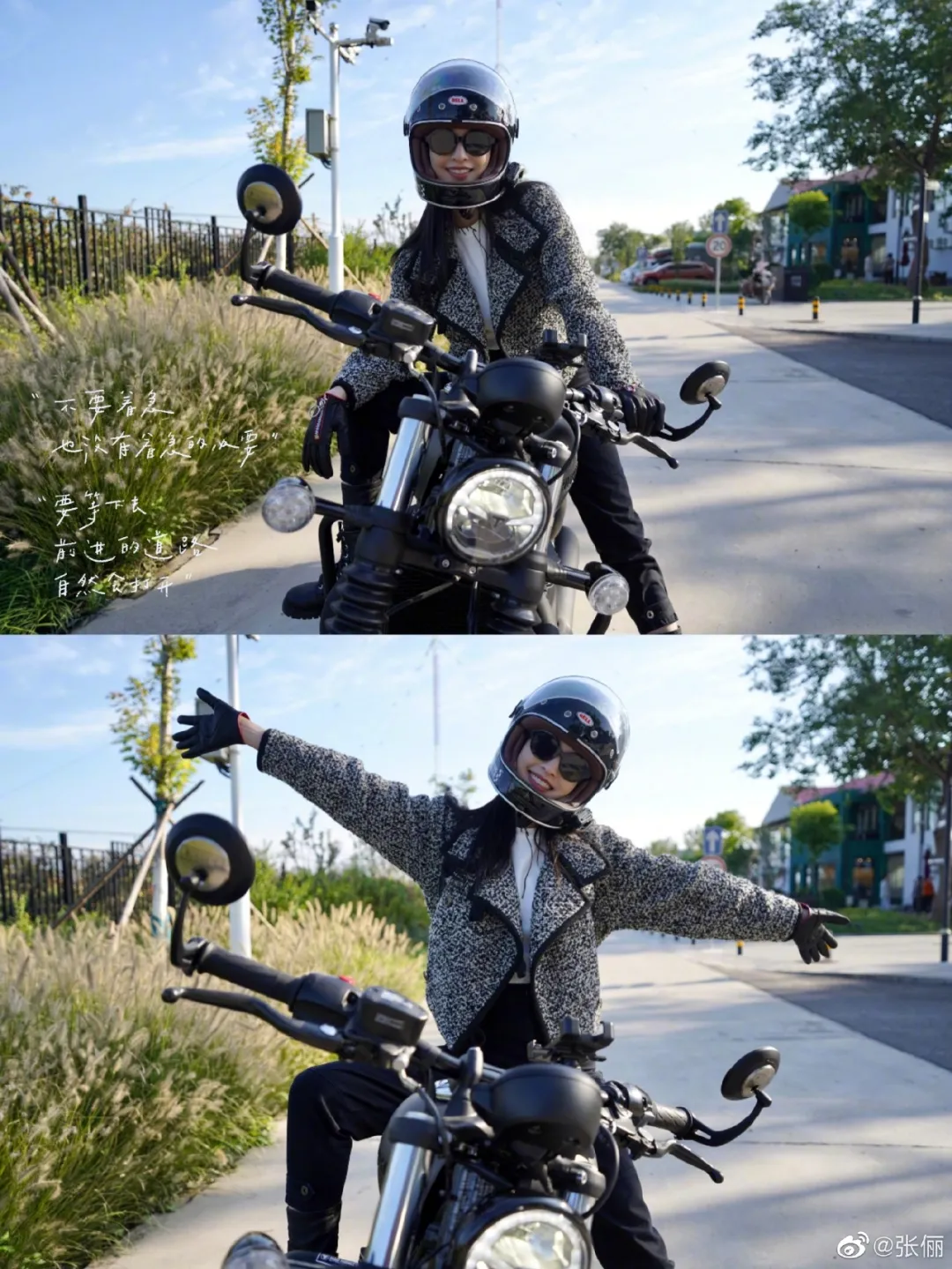 张俪|张俪：我都没有看剧本，就直接来了