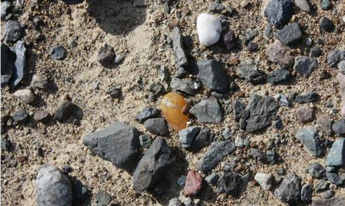 舜网 小伙去旅游捡回了一块奇石，珠宝行的行家说这块石头不简单