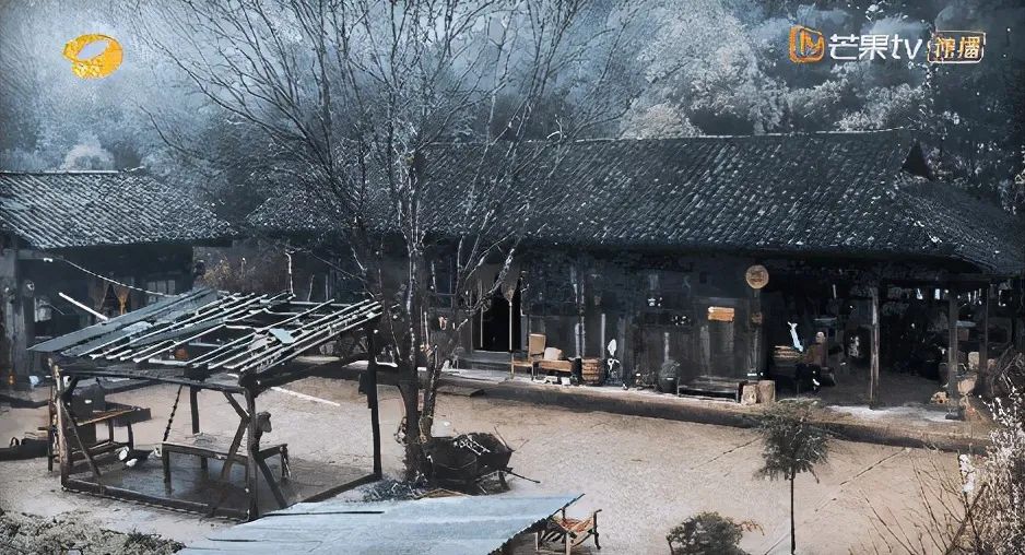 张艺兴|顶流国综收视第一,却被骂成“老鼠屎”,张艺兴这次真的做错了?